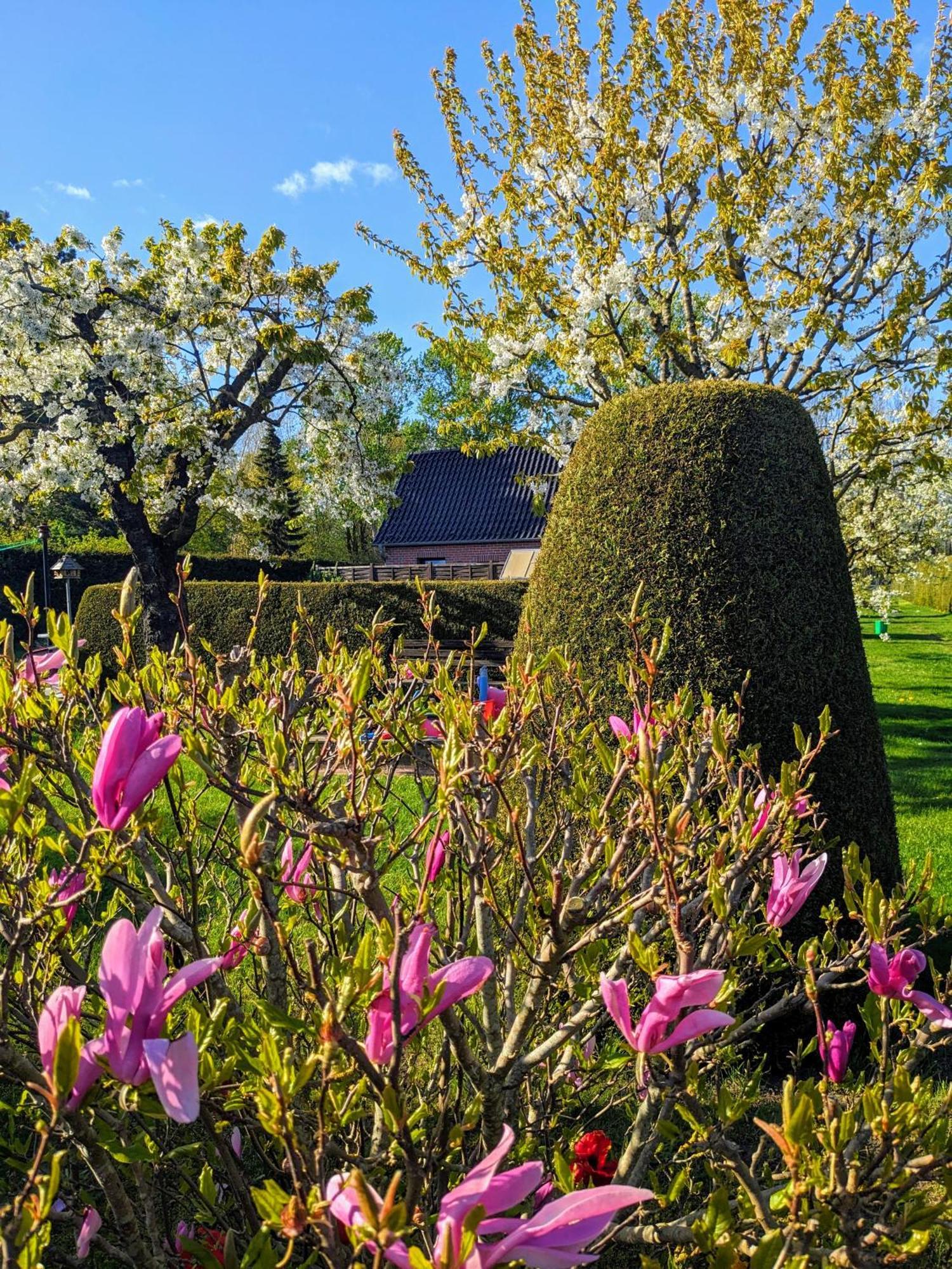 Haeuschen Im Gruenen Jornstorf Exterior foto