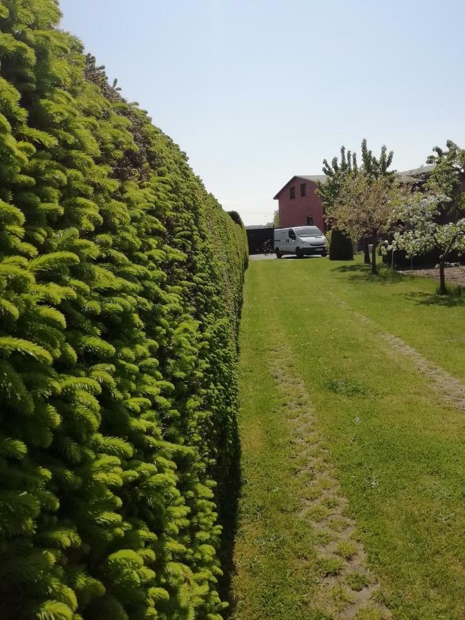 Haeuschen Im Gruenen Jornstorf Exterior foto